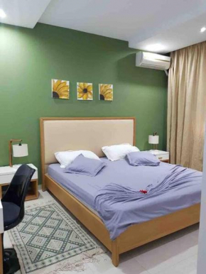 luxueux spacieux appartement haut standing